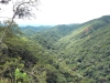 bosque-h%c3%bamedo-boliviano-tucumano